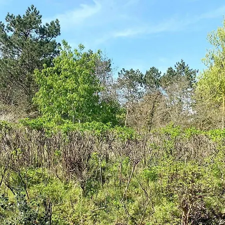 Haus-nordsee-whg-03 Sankt Peter-Ording